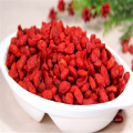 China Dried bulk Goji Berry medlar fruits for sale